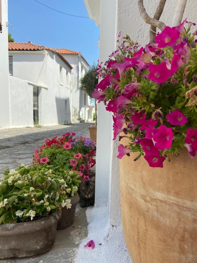 Raphael Skiathos Living-Venetia Exterior photo